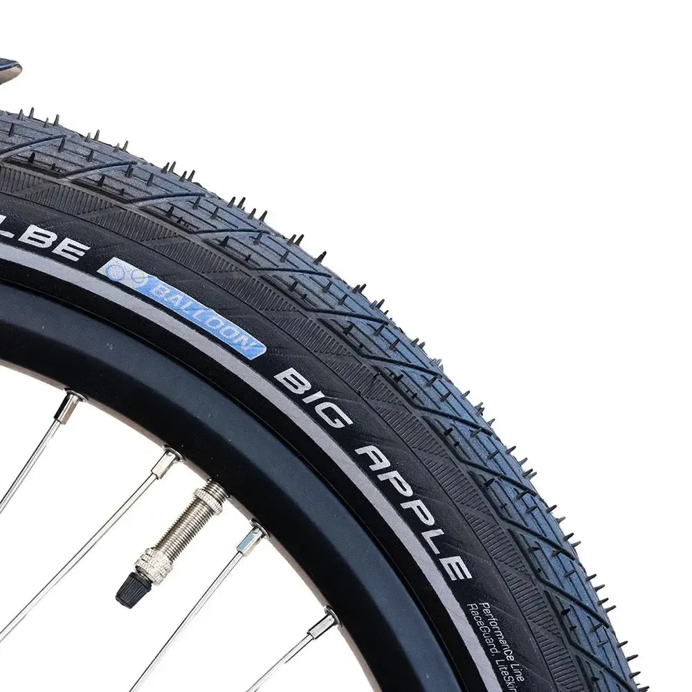 Keewee Bike 2.0 - Zwart - fatbikeskopen.nl