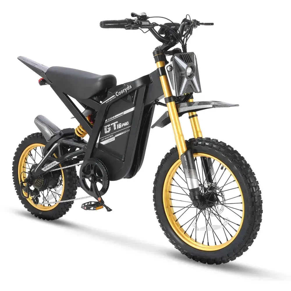 OUXI GT16 Pro - Goud - fatbikeskopen.nl