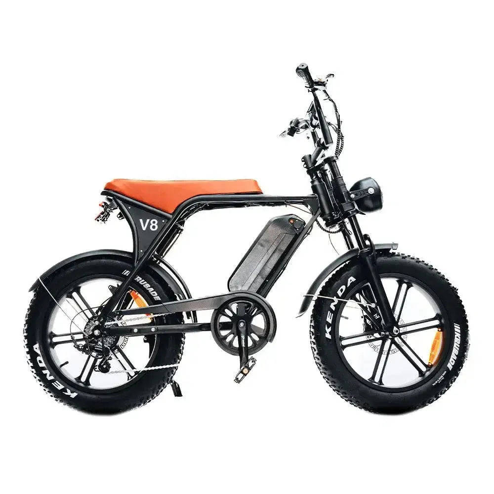 Fat bike nl sale