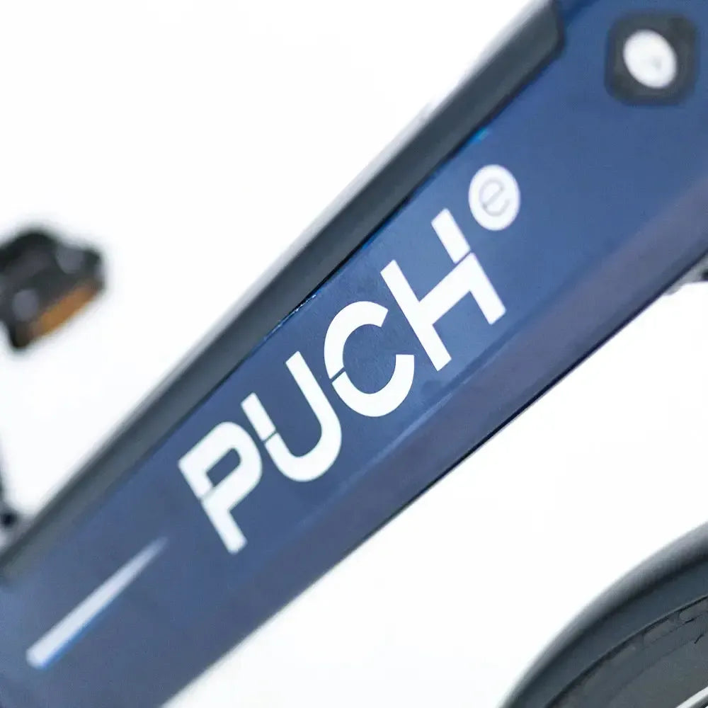 Puch E-Zirkon Enviolo Belt - Zijde Grijs Mat - fatbikeskopen.nl