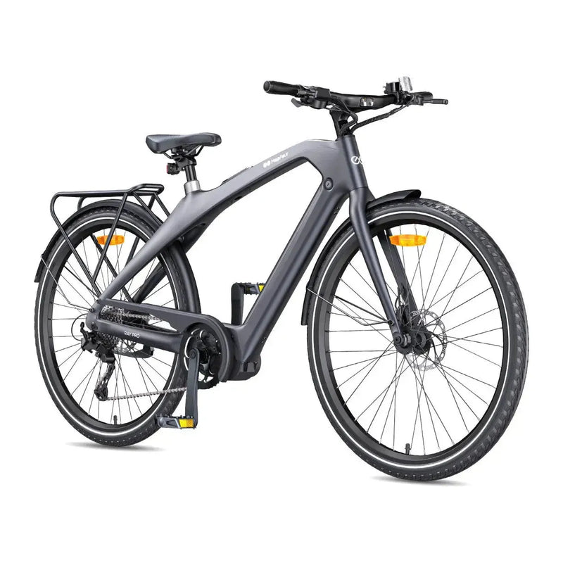 Ray Pro - Antraciet - fatbikeskopen.nl