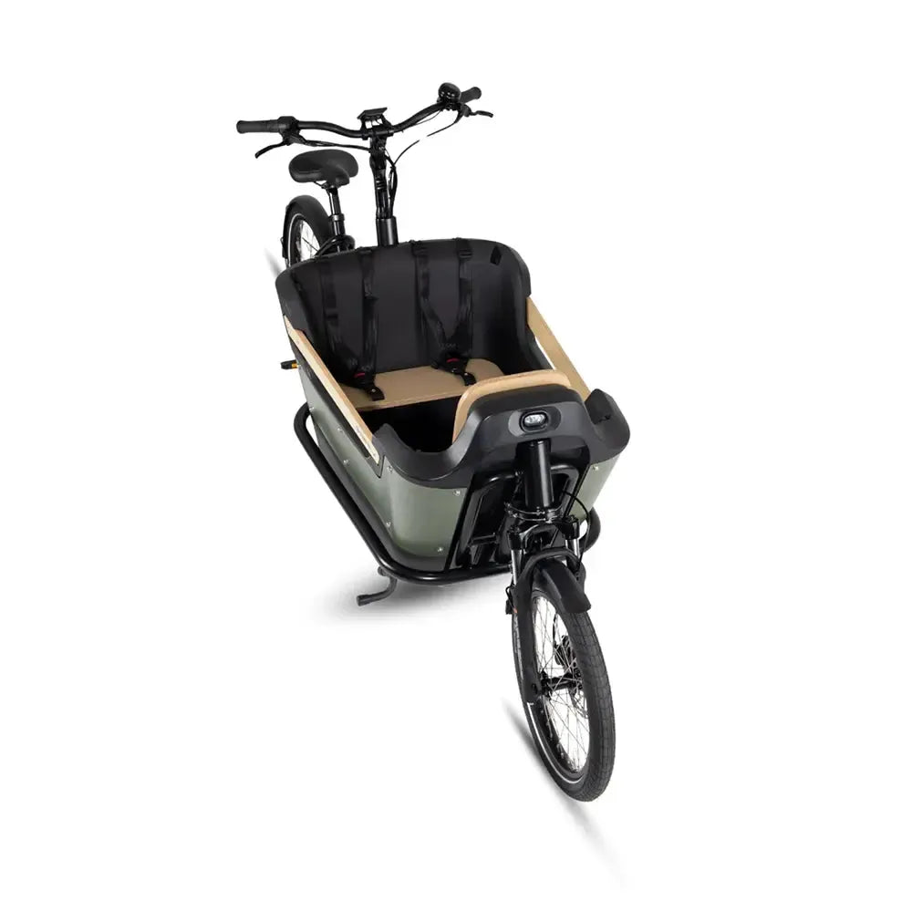 Royal Cargo Bike 2W Premium Plus - Groen - fatbikeskopen.nl