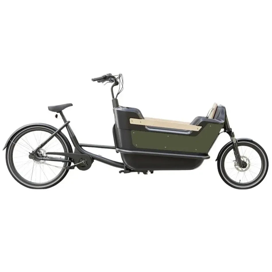 Royal Cargo Bike 2W Premium - Groen - fatbikeskopen.nl