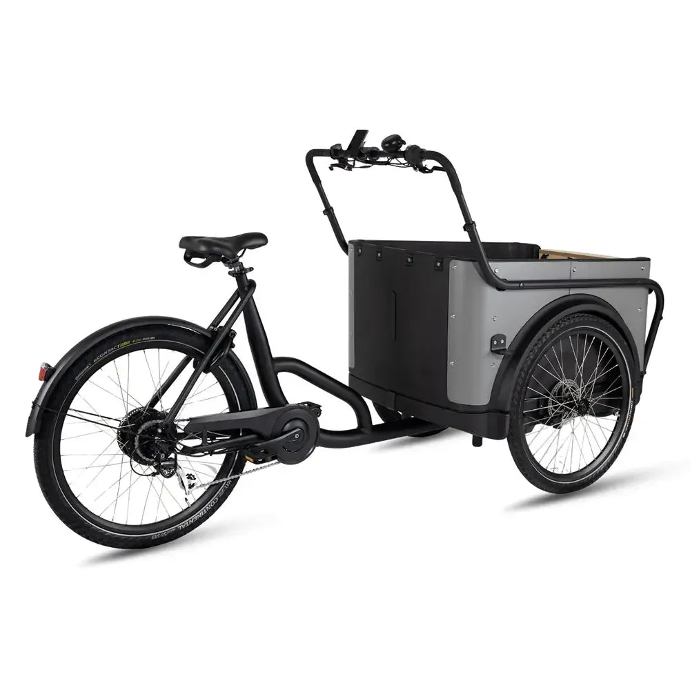 Royal Cargo Bike 3W Eco - Grijs - fatbikeskopen.nl