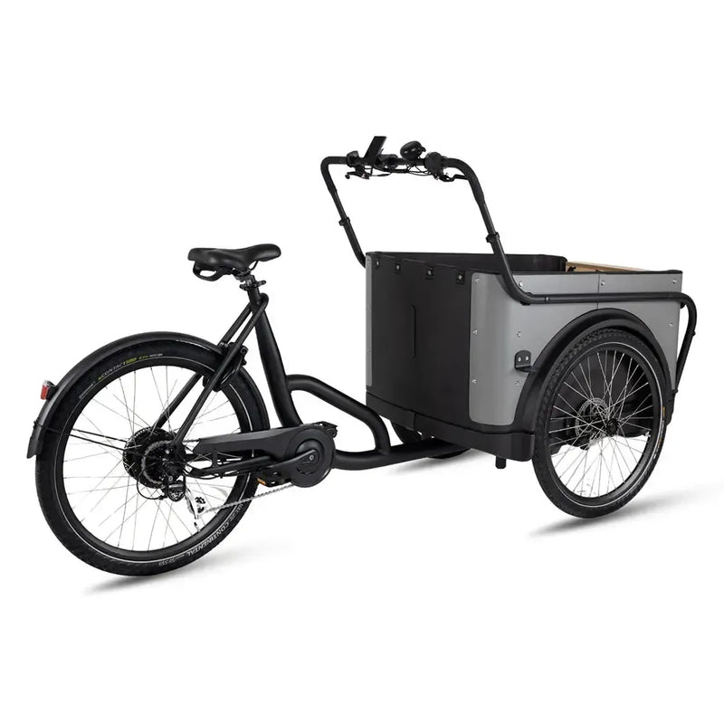 Royal Cargo Bike 3W Eco - Grijs - fatbikeskopen.nl
