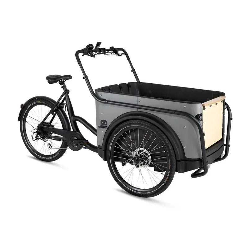 Royal Cargo Bike 3W Eco - Grijs - fatbikeskopen.nl