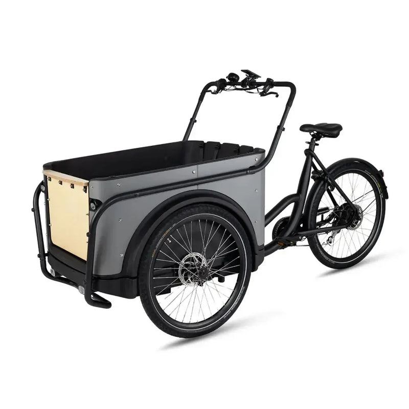 Royal Cargo Bike 3W Eco - Grijs - fatbikeskopen.nl