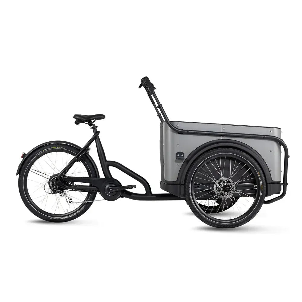 Royal Cargo Bike 3W Eco - Grijs - fatbikeskopen.nl
