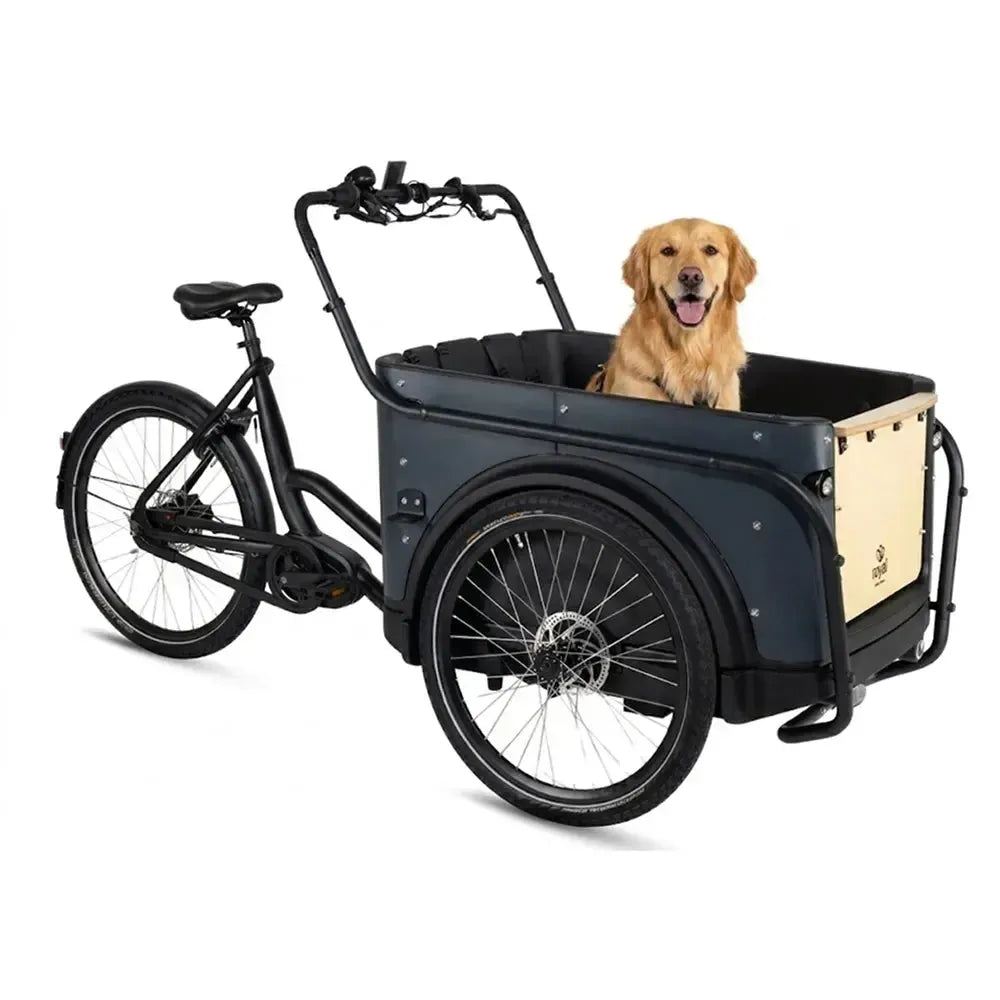 Royal Cargo Bike 3W Premium - Antraciet - fatbikeskopen.nl