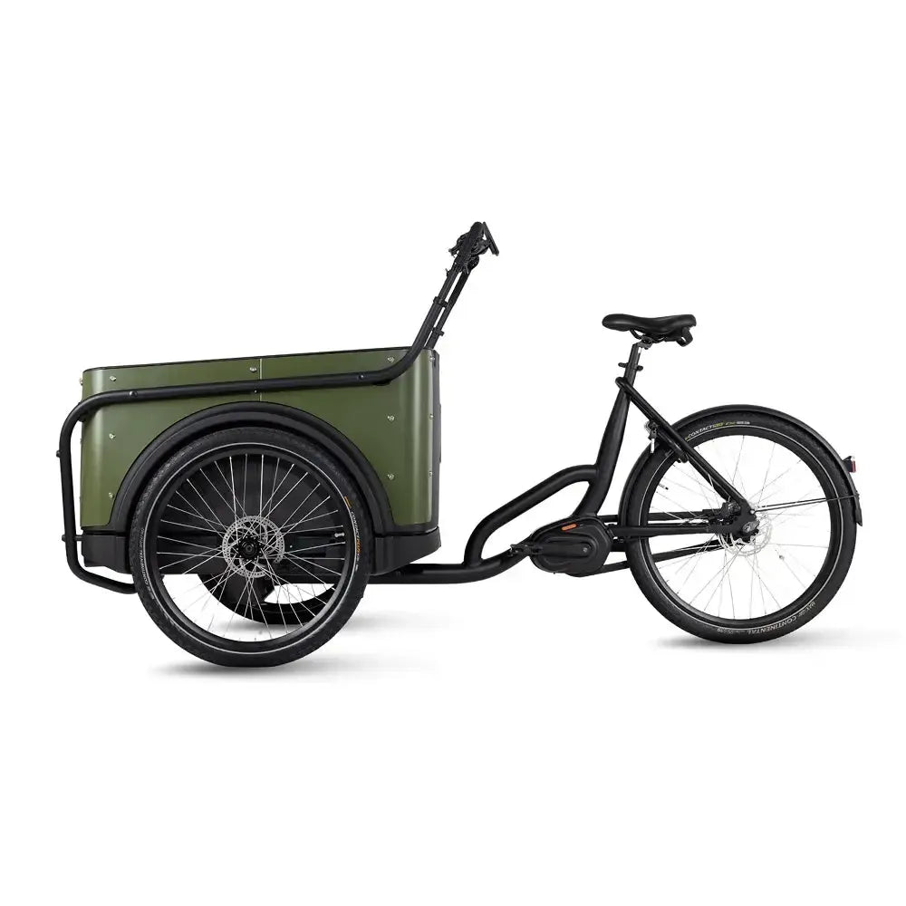 Royal Cargo Bike 3W Premium - Groen - fatbikeskopen.nl