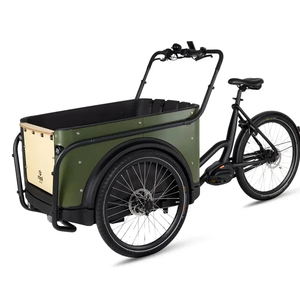 Royal Cargo Bike 3W Premium - Groen - fatbikeskopen.nl