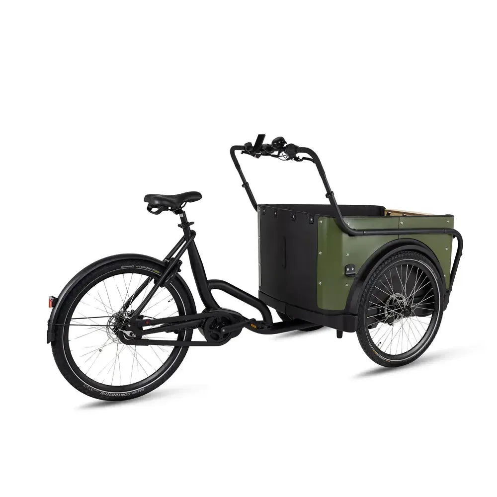Royal Cargo Bike 3W Premium - Groen - fatbikeskopen.nl