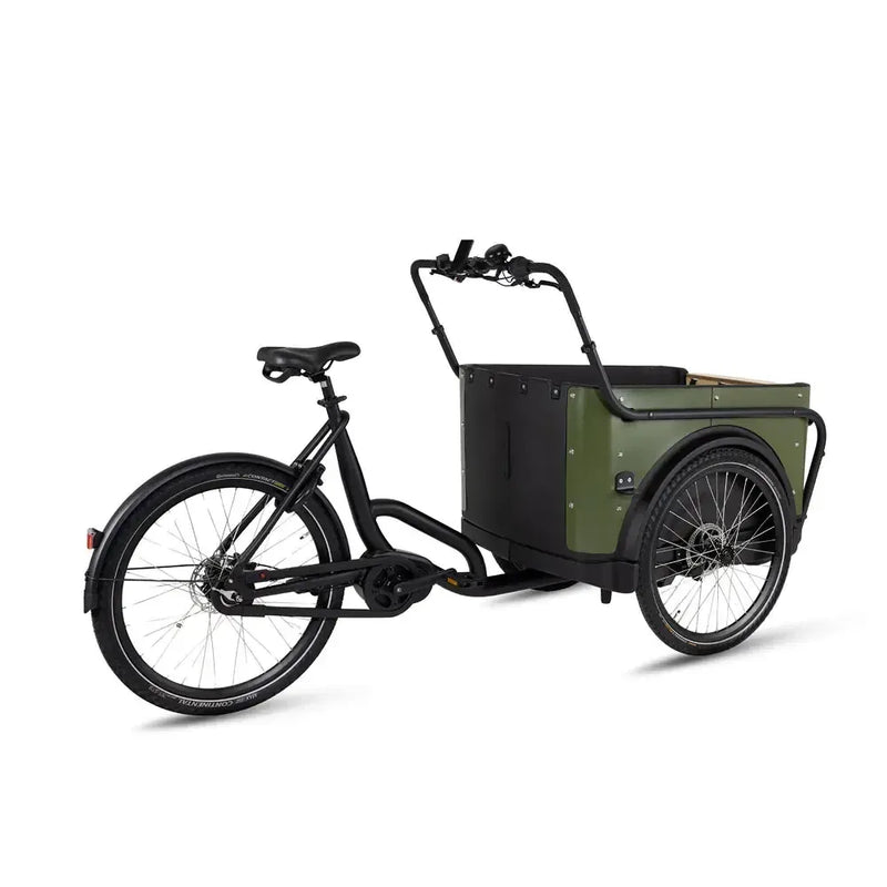 Royal Cargo Bike 3W Premium - Groen - fatbikeskopen.nl