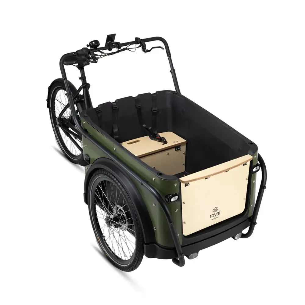 Royal Cargo Bike 3W Premium - Groen - fatbikeskopen.nl
