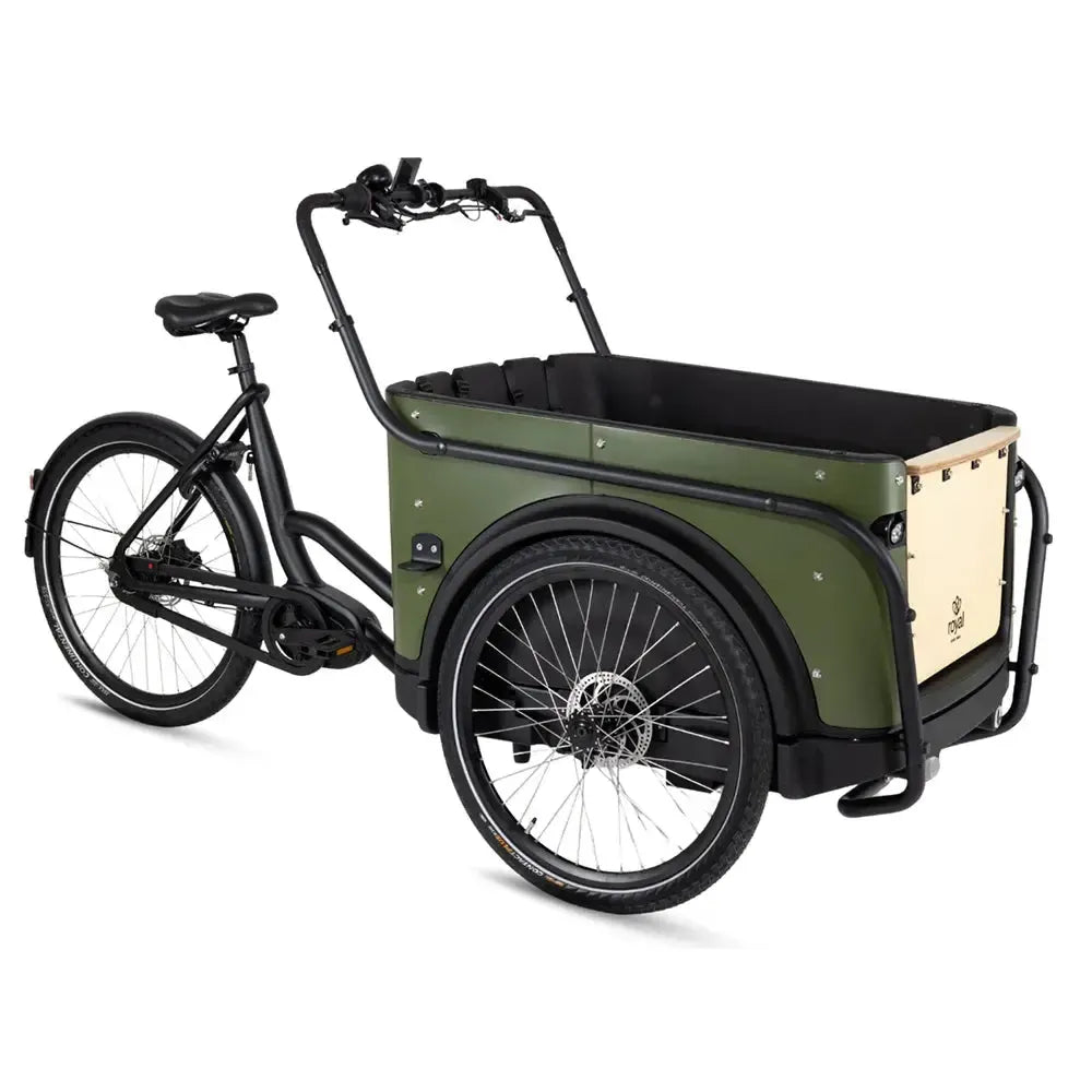 Royal Cargo Bike 3W Premium - Groen - fatbikeskopen.nl