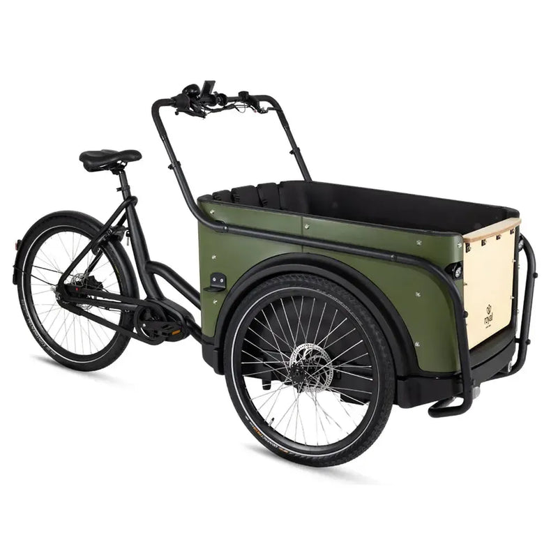 Royal Cargo Bike 3W Premium - Groen - fatbikeskopen.nl