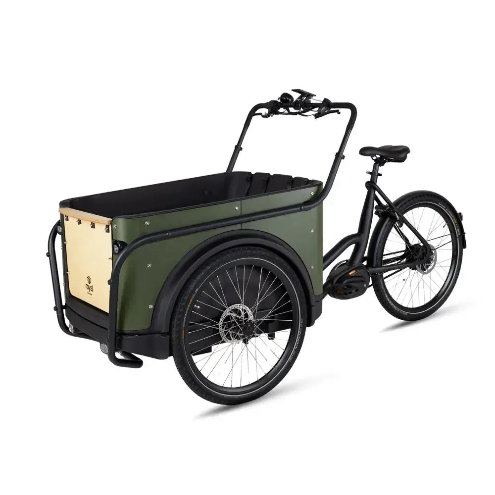 Royal Cargo Bike 3W Premium Plus - Groen - fatbikeskopen.nl