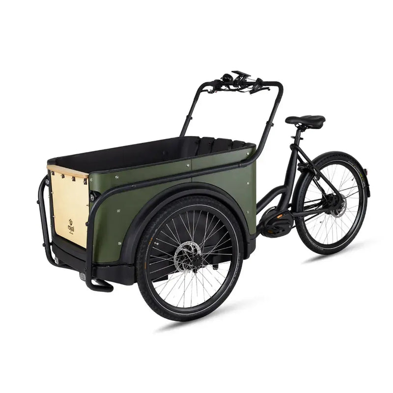 Royal Cargo Bike 3W Premium Plus - Groen - fatbikeskopen.nl