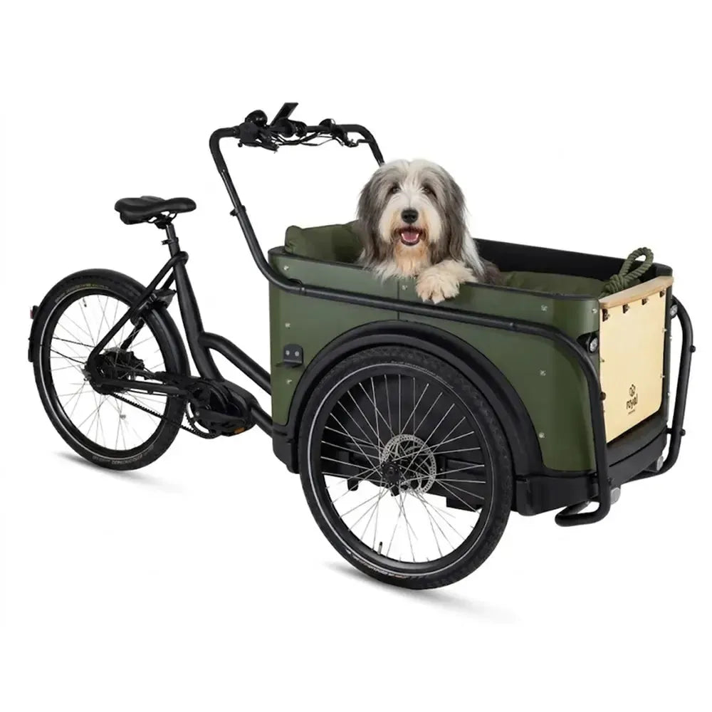 Royal Cargo Bike 3W Premium Plus - Groen - fatbikeskopen.nl