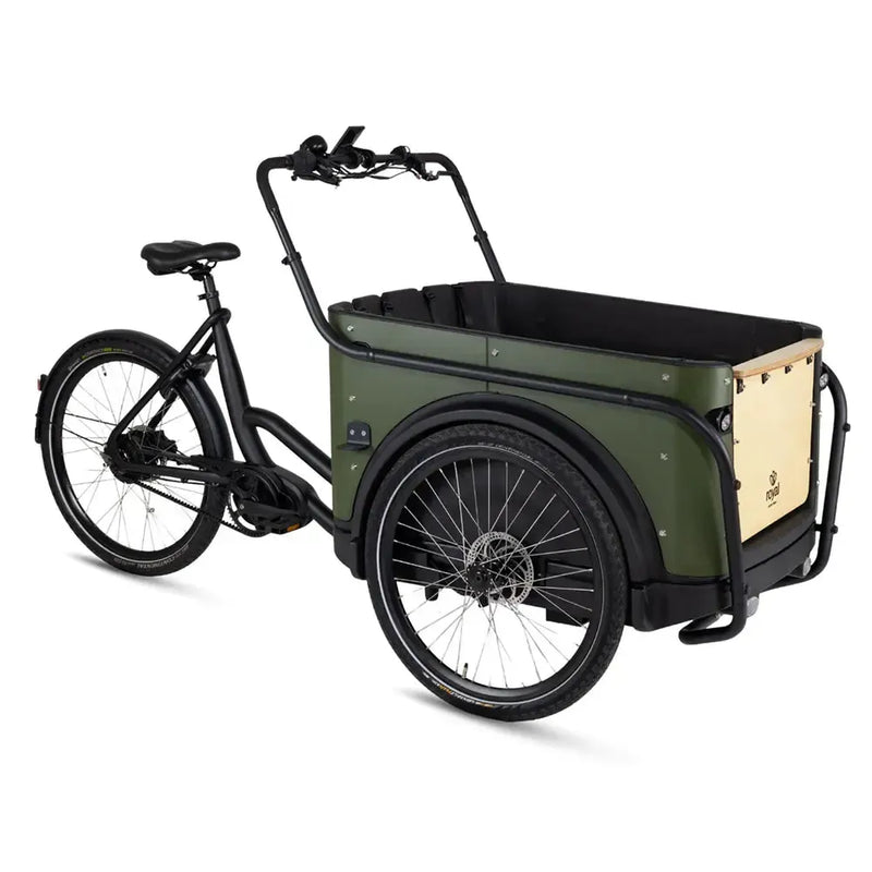 Royal Cargo Bike 3W Premium Plus - Groen - fatbikeskopen.nl
