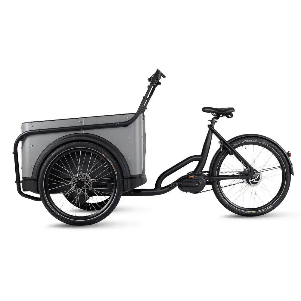 Royal Cargo Bike 3W Premium Plus - Taupe grijs - fatbikeskopen.nl