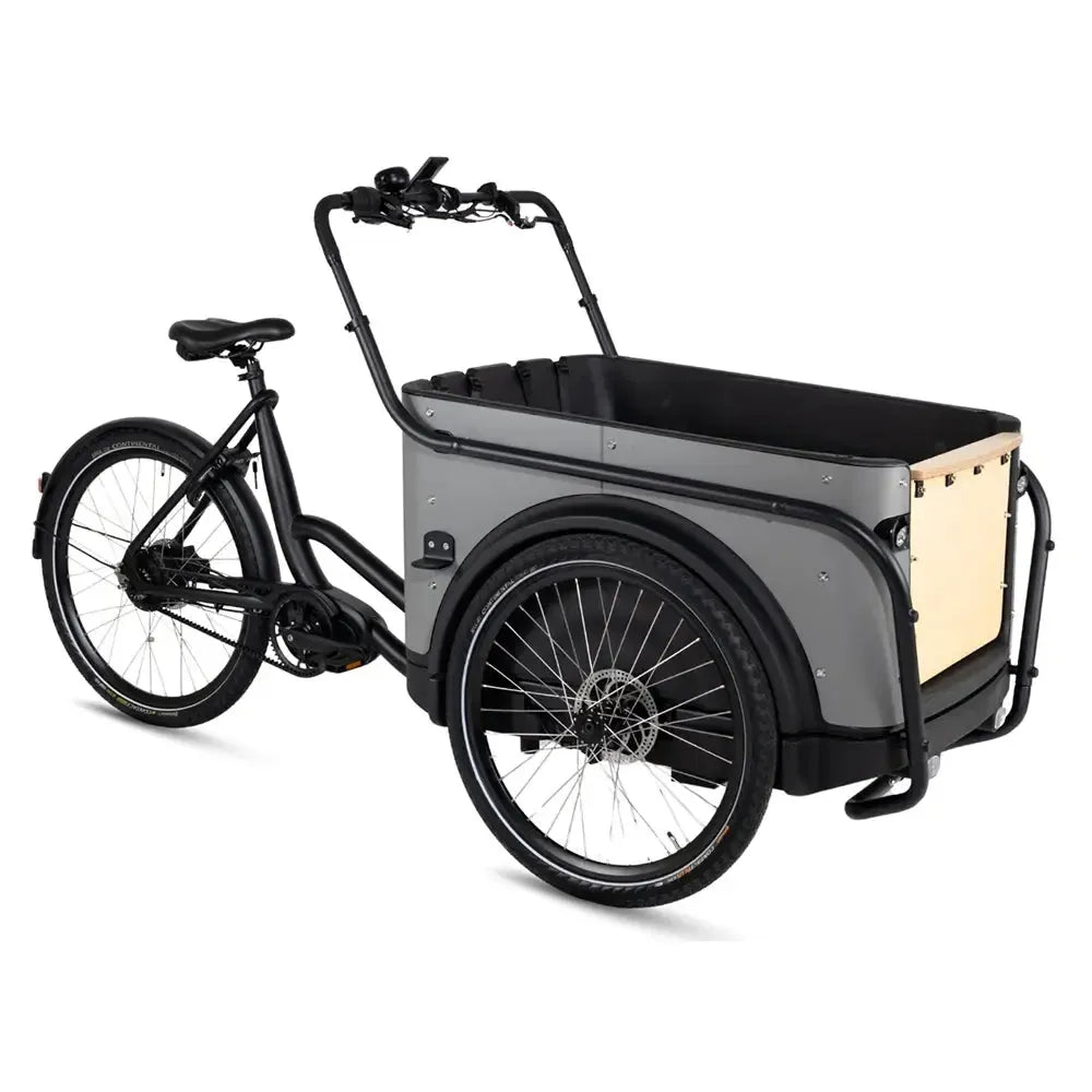 Royal Cargo Bike 3W Premium Plus - Taupe grijs - fatbikeskopen.nl
