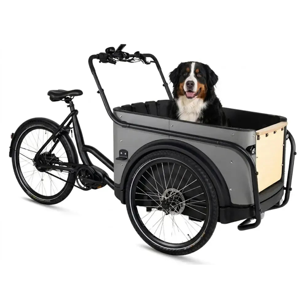 Royal Cargo Bike 3W Premium Plus - Taupe grijs - fatbikeskopen.nl