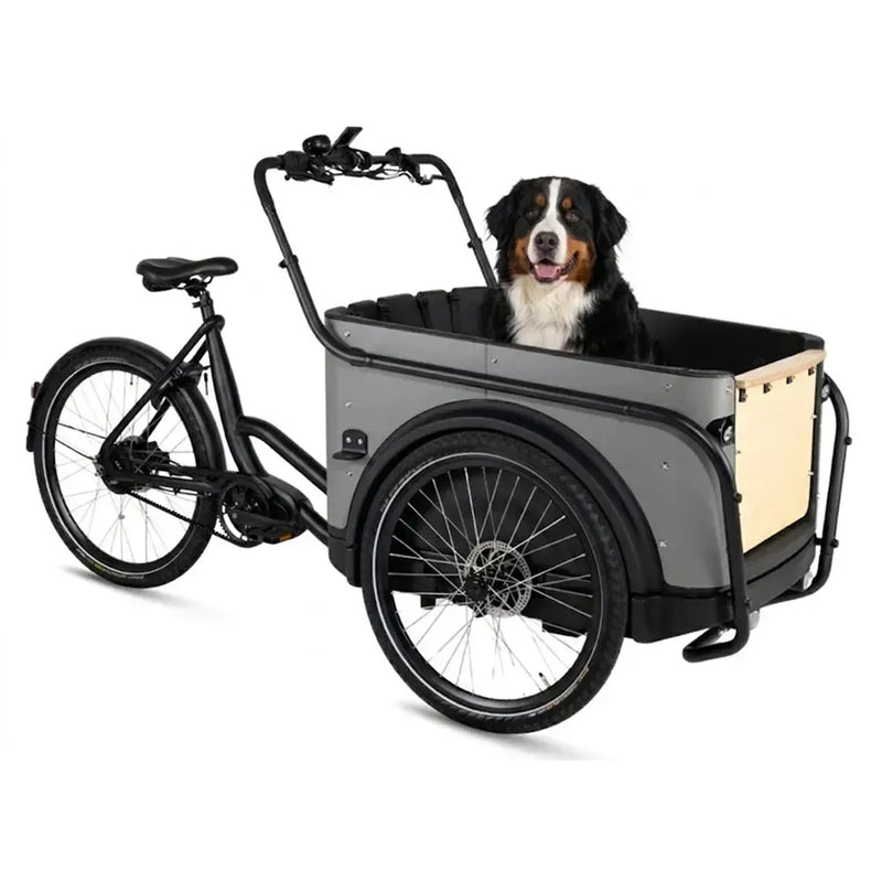 Royal Cargo Bike 3W Premium Plus - Taupe grijs - fatbikeskopen.nl