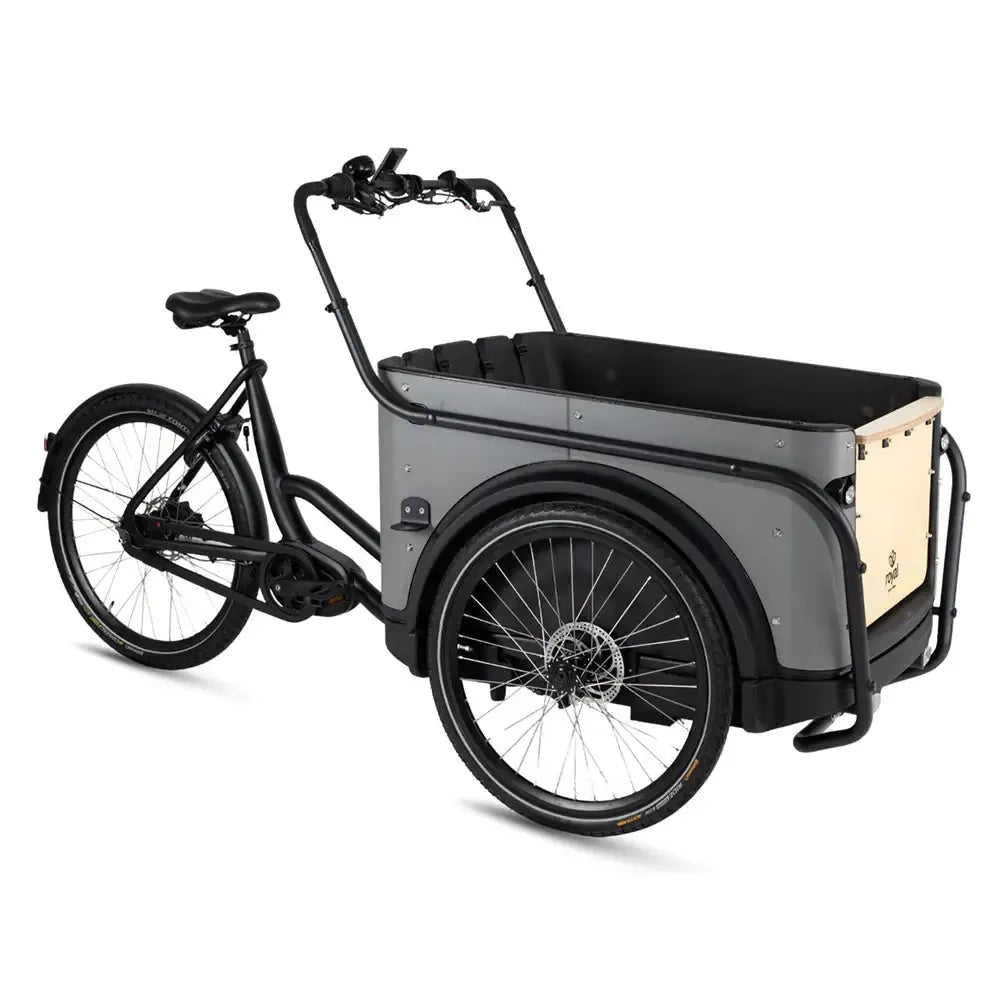 Royal Cargo Bike 3W Premium - Taupe - fatbikeskopen.nl