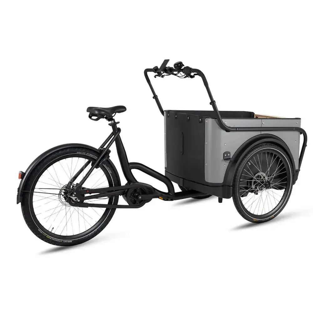 Royal Cargo Bike 3W Premium - Taupe - fatbikeskopen.nl