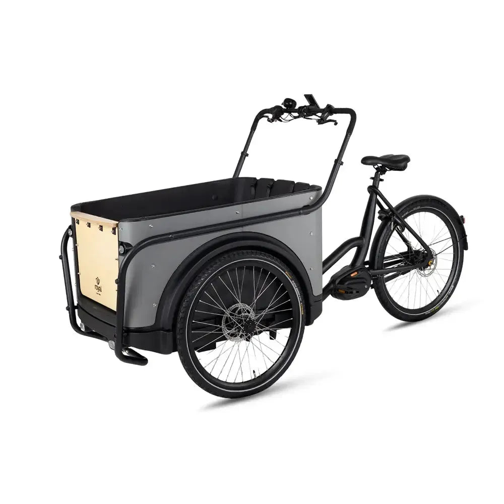 Royal Cargo Bike 3W Premium - Taupe - fatbikeskopen.nl
