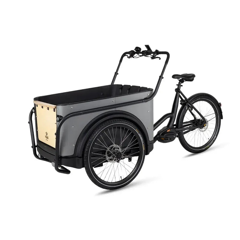 Royal Cargo Bike 3W Premium - Taupe - fatbikeskopen.nl