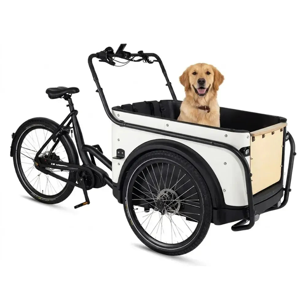Royal Cargo Bike 3W Premium - Wit - fatbikeskopen.nl