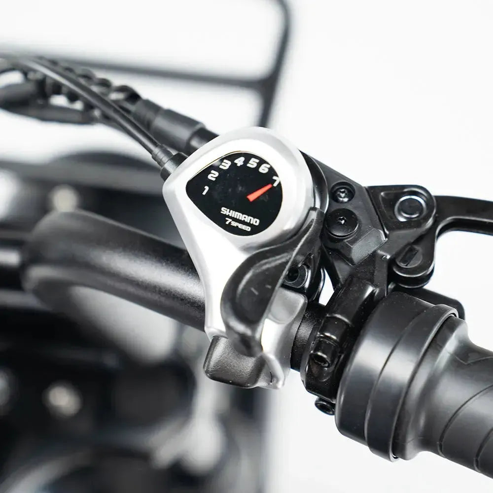 S20 Pro - Grijs - fatbikeskopen.nl