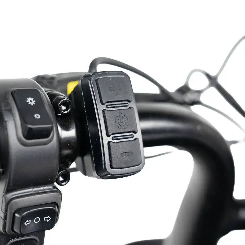 S20 Pro - Zwart (V20) - fatbikeskopen.nl