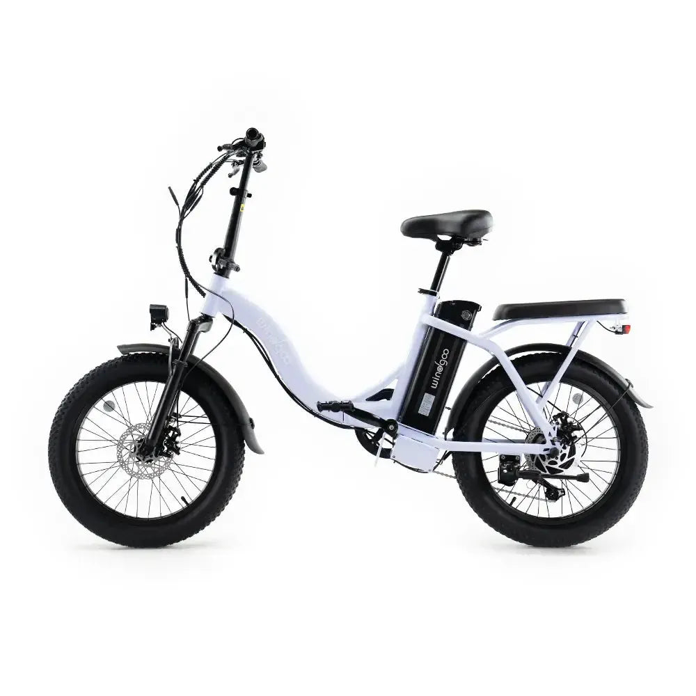 SUPER Deal | Windgoo E20 - Lichtpaars - fatbikeskopen.nl