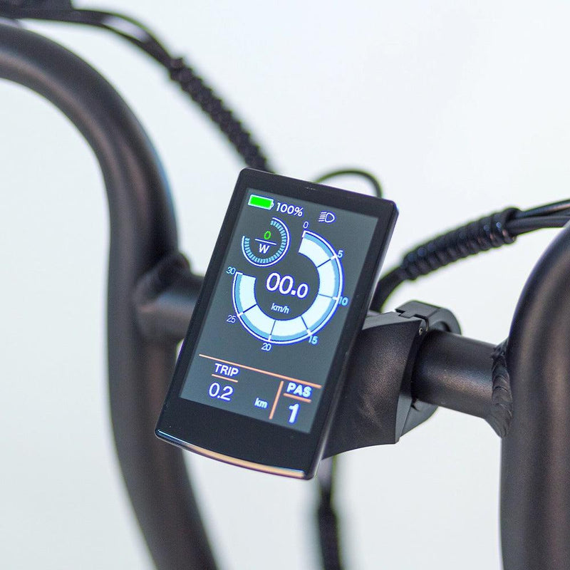 Tomos Flexer - Lage instap - Fatbike - Zwart - fatbikeskopen.nl