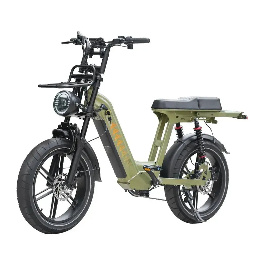 V20 Comfort Pro - Groen - fatbikeskopen.nl