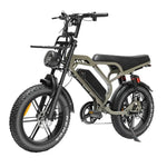 V20 Limited - Bruin - fatbikeskopen.nl