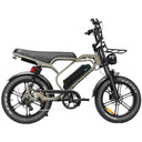 V20 Limited - Bruin