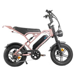 V20 Pro Mini - Rose goud - fatbikeskopen.nl