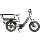 V20 XR3 Special - Longtail - Grijs - fatbikeskopen.nl