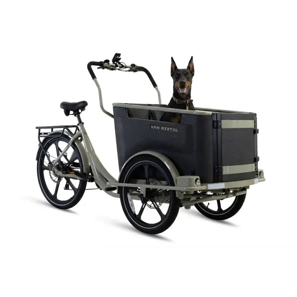 Van Rixtel Dog - Desert sand - fatbikeskopen.nl