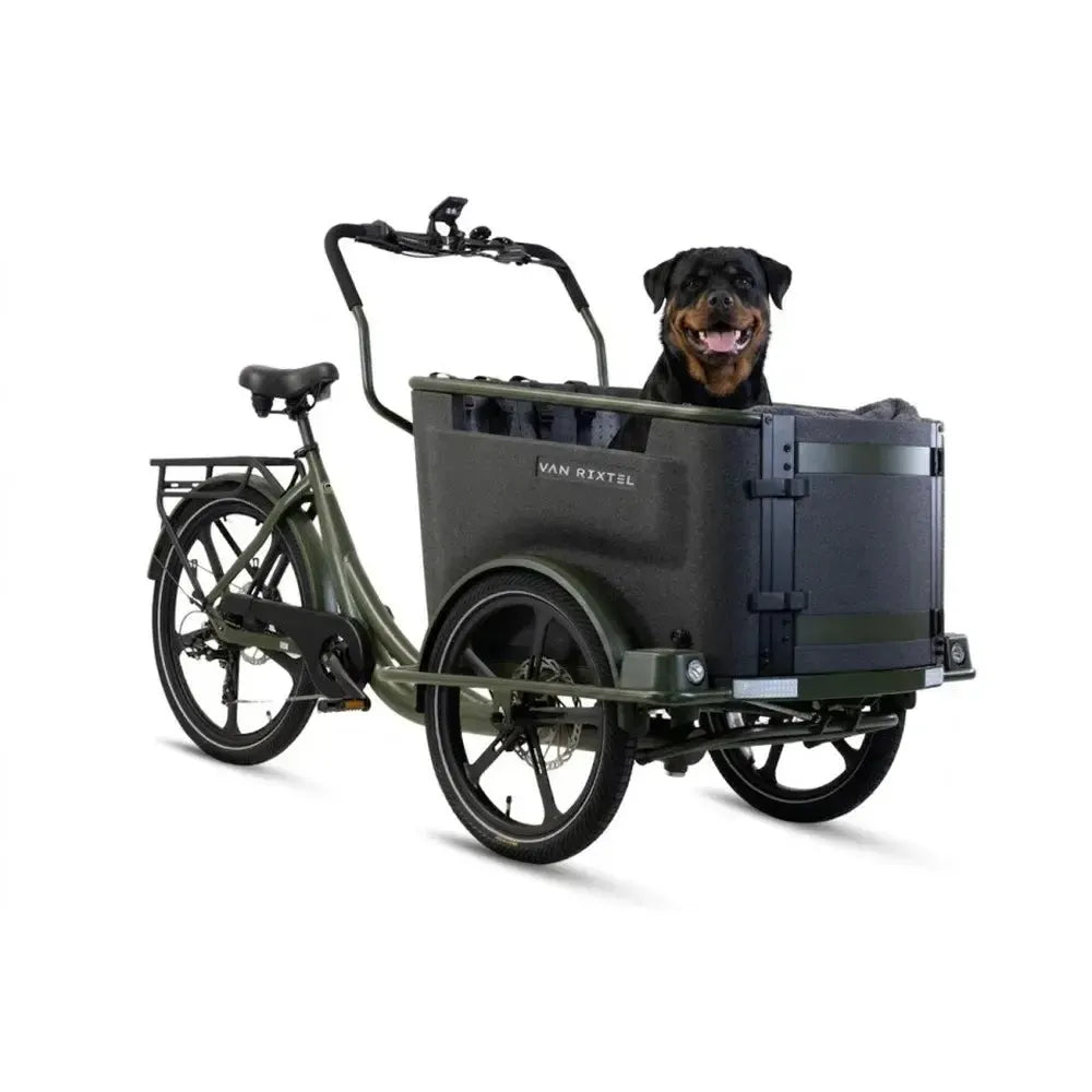 Van Rixtel Dog - Olive green - fatbikeskopen.nl