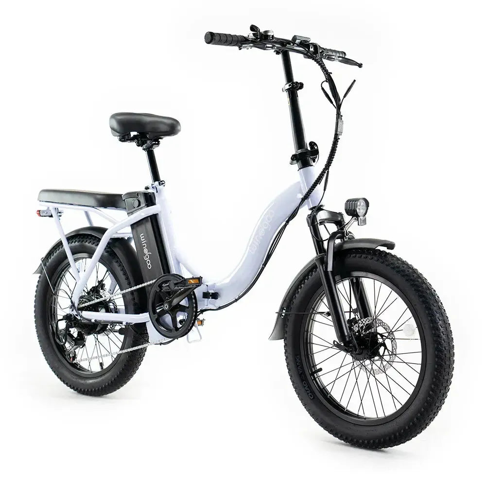 Windgoo E20 - Lichtpaars - fatbikeskopen.nl