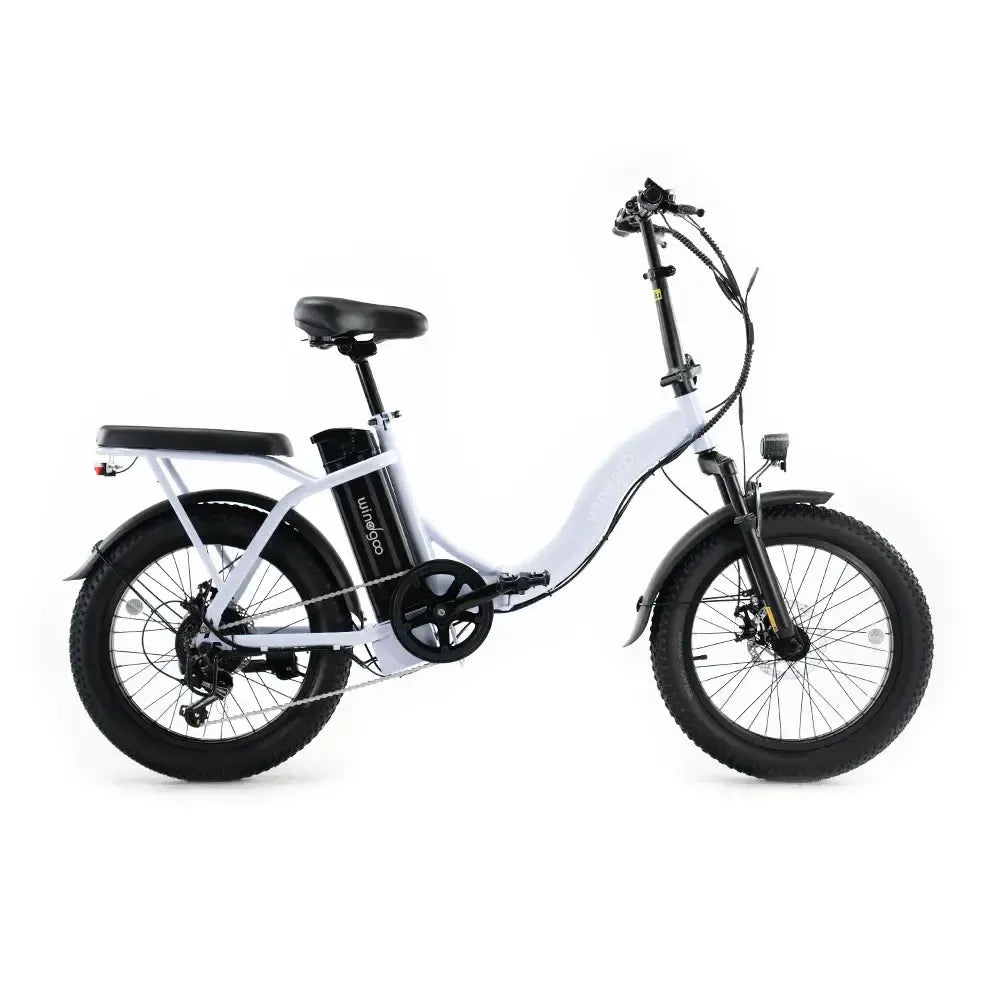 Windgoo E20 - Lichtpaars - fatbikeskopen.nl