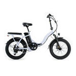 Windgoo E20 - Lichtpaars - fatbikeskopen.nl