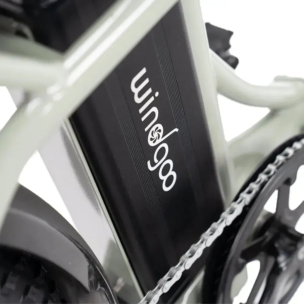 Windgoo E20 Pro - Beige - fatbikeskopen.nl