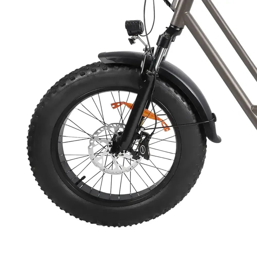 Windgoo F30 - Beige - fatbikeskopen.nl